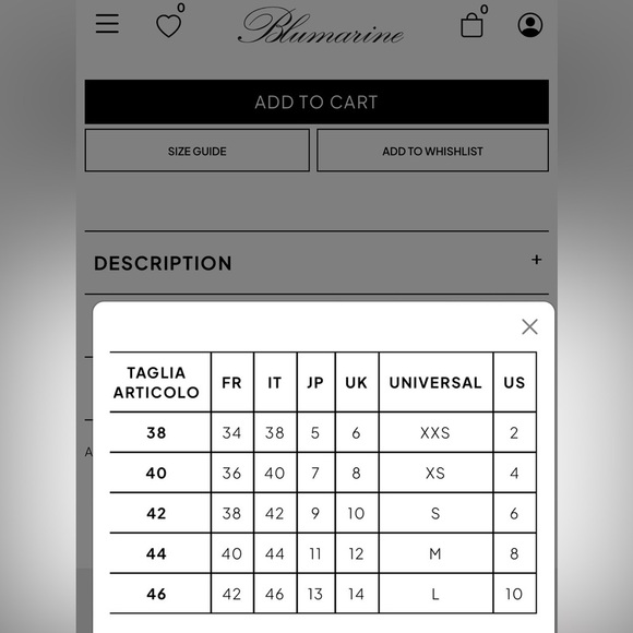 Blumarine 2016 Resort Lace Dress – Ethereal Italian Sheer Mini, Collector’s Gem - Picture 15 of 15